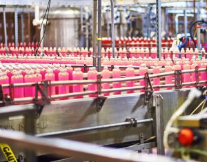 production-our-capabilities